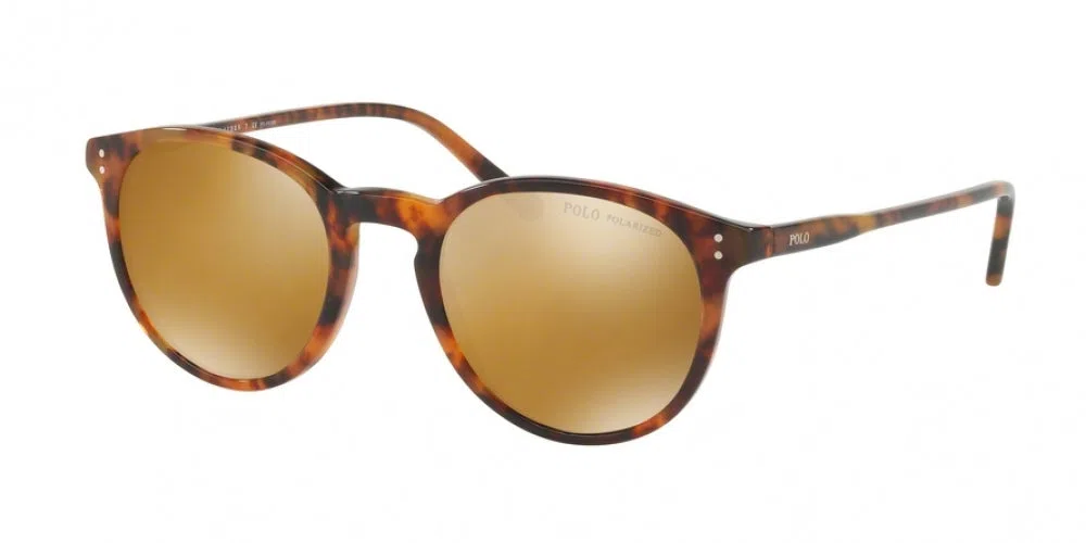 Polo 4110 Sunglasses - view 5